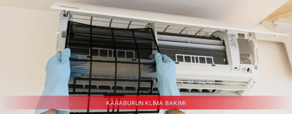 Karaburun İlçemi Viessmann Klima Bakımı