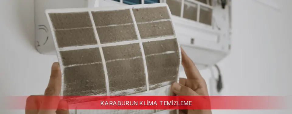 Karaburun İlçemi Viessmann Klima Temizleme